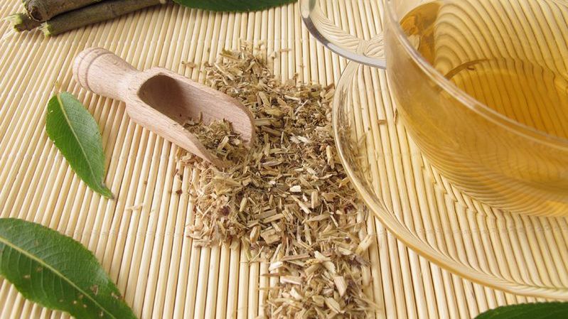 Wywar z kory wierzby - działanie i właściwości