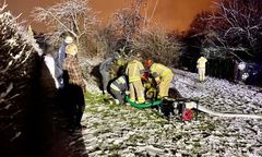 Żarów. Utopili chorą suczkę w studni. Bulwersująca interwencja DIOZ