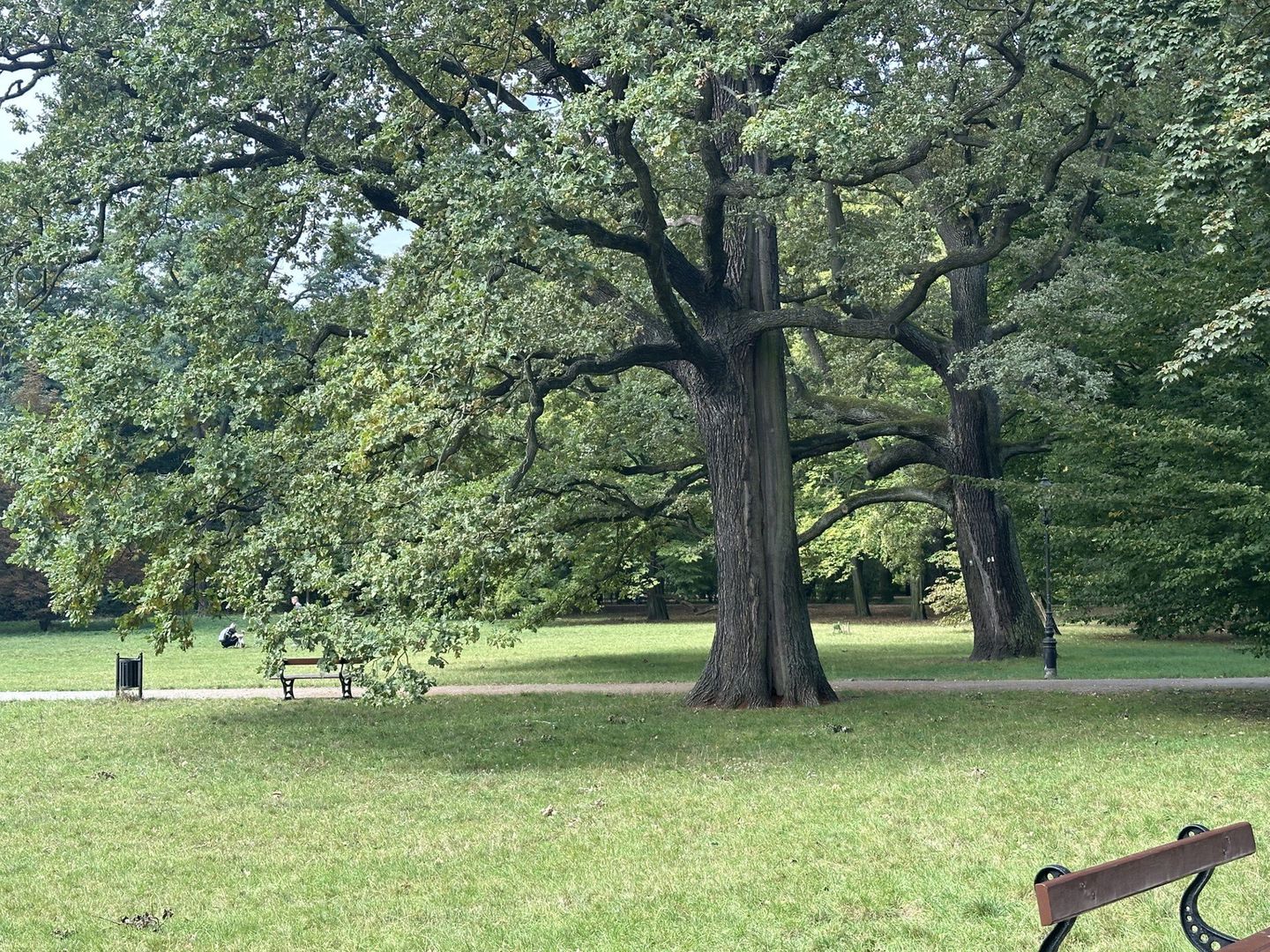 Park Źródliska Łódź