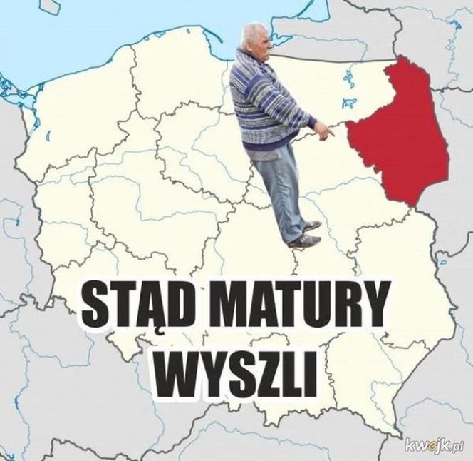 Memy - matura 2024