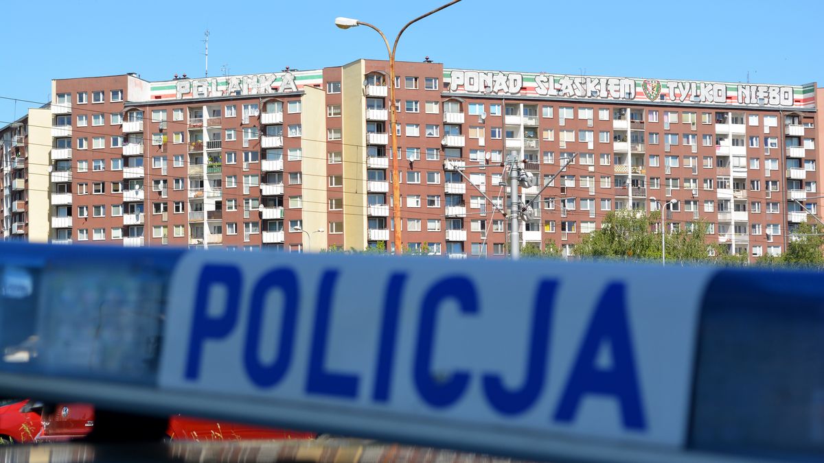 policja kogut policyjny radiowóz