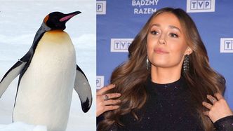 Izabella Krzan już zaliczyła WPADKĘ w "PnŚ". Pochwaliła się "wiedzą" o pingwinach...