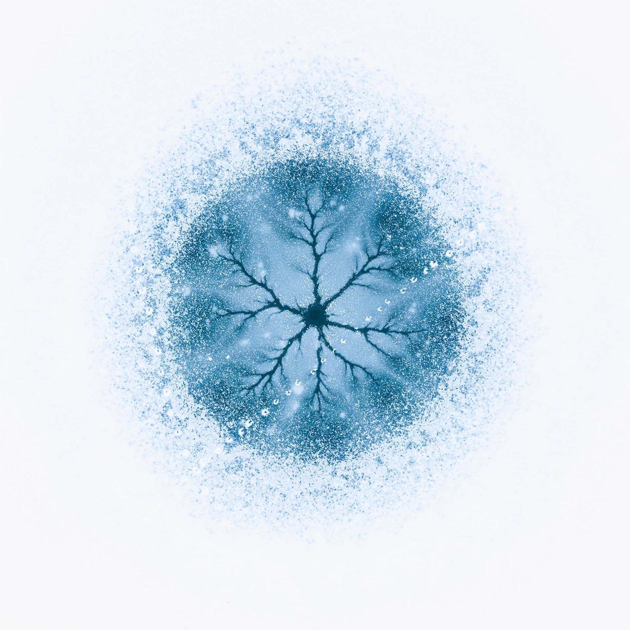 Nature Photographer of the Year 2021. Oto najlepsze zdjęcia przyrodnicze minionego roku 9