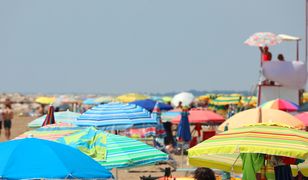 Można zarobić 6 tys. zł miesięcznie. Chętnych brak