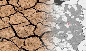 Obejmują już połowę Polski. Jest najnowszy raport