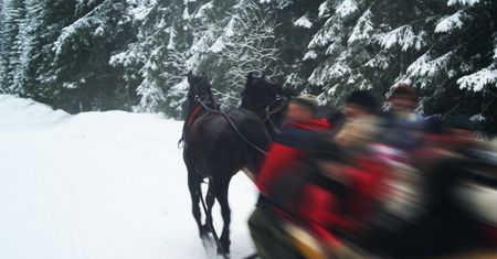 Koszmar w polskich górach. W głowie się nie mieści, co robią pijani uczestnicy kuligów
