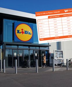 Koszyk WP Finanse w Lidlu. Porównaliśmy ceny w Polsce i Holandii