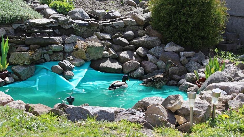 Oczko wodne pozwala zatrzymać wody opadowe lub roztopowe.