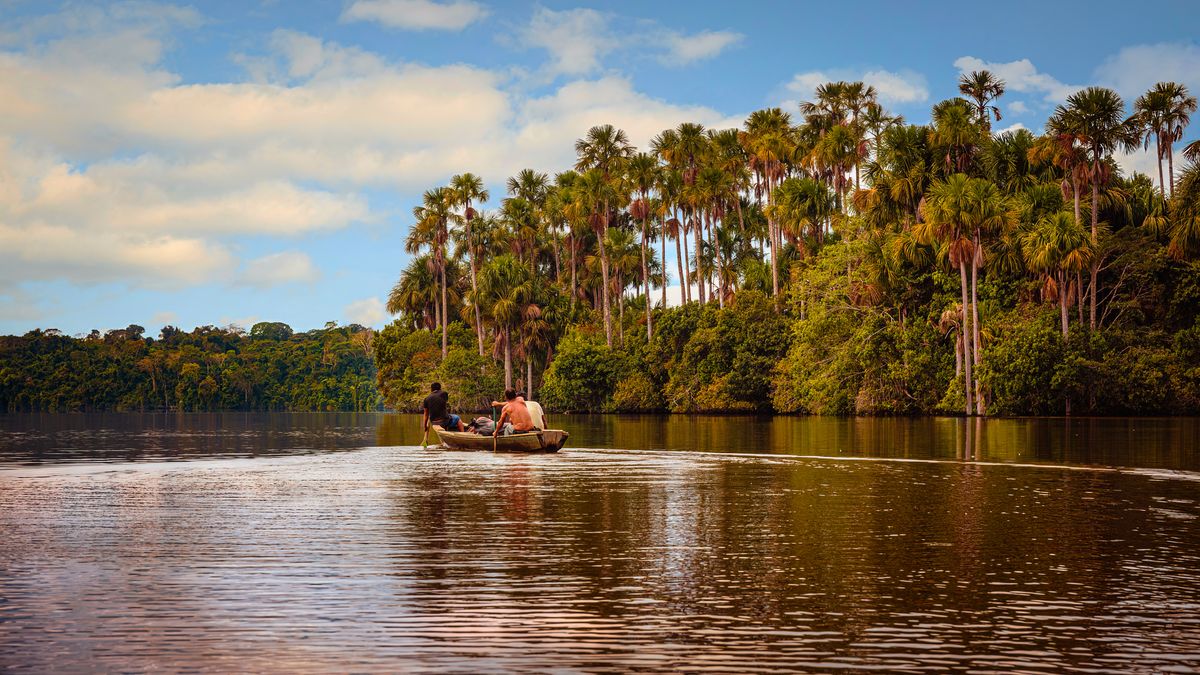 Widok na jezioro Sandoval z łodzią wiosłową, Puerto Maldonado
