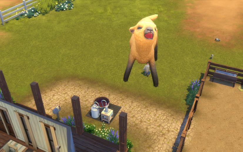 "The Sims 4 Ranczo" - próba karmienia z butelki gigantycznej owcy