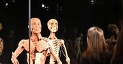 Warszawa: BODY WORLDS - PULSE powraca. Kiedy i gdzie?