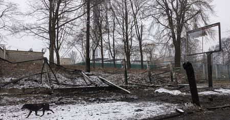 Porażająca relacja z Ukrainy. "Czuć zapach trupów"