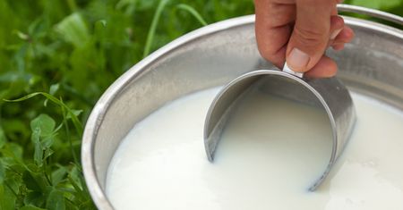 Wygląda jak zwykłe mleko. Ma więcej witamin niż krowie i wspomaga kontrolę cukru