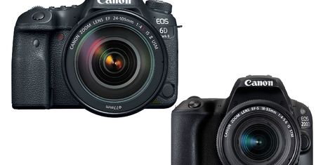 Canon EOS 6D Mark II i EOS 200D - duża i malutka lustrzanka, z dużą i mniejsza matrycą