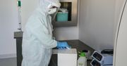 Zabójcza kokaina w Argentynie. Przez Karfentanyl zginęły już 24 osoby