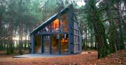 Kabina czy dom? Chatka pełna książek w lesie pod Warszawą