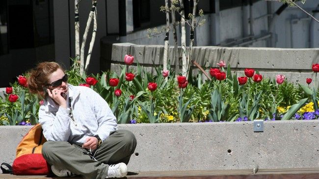 Bonusy u wszystkich operatorów - sprawdź, co przygotowali 1