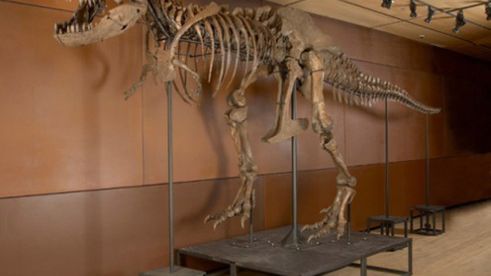 Kup sobie dinozaura 1