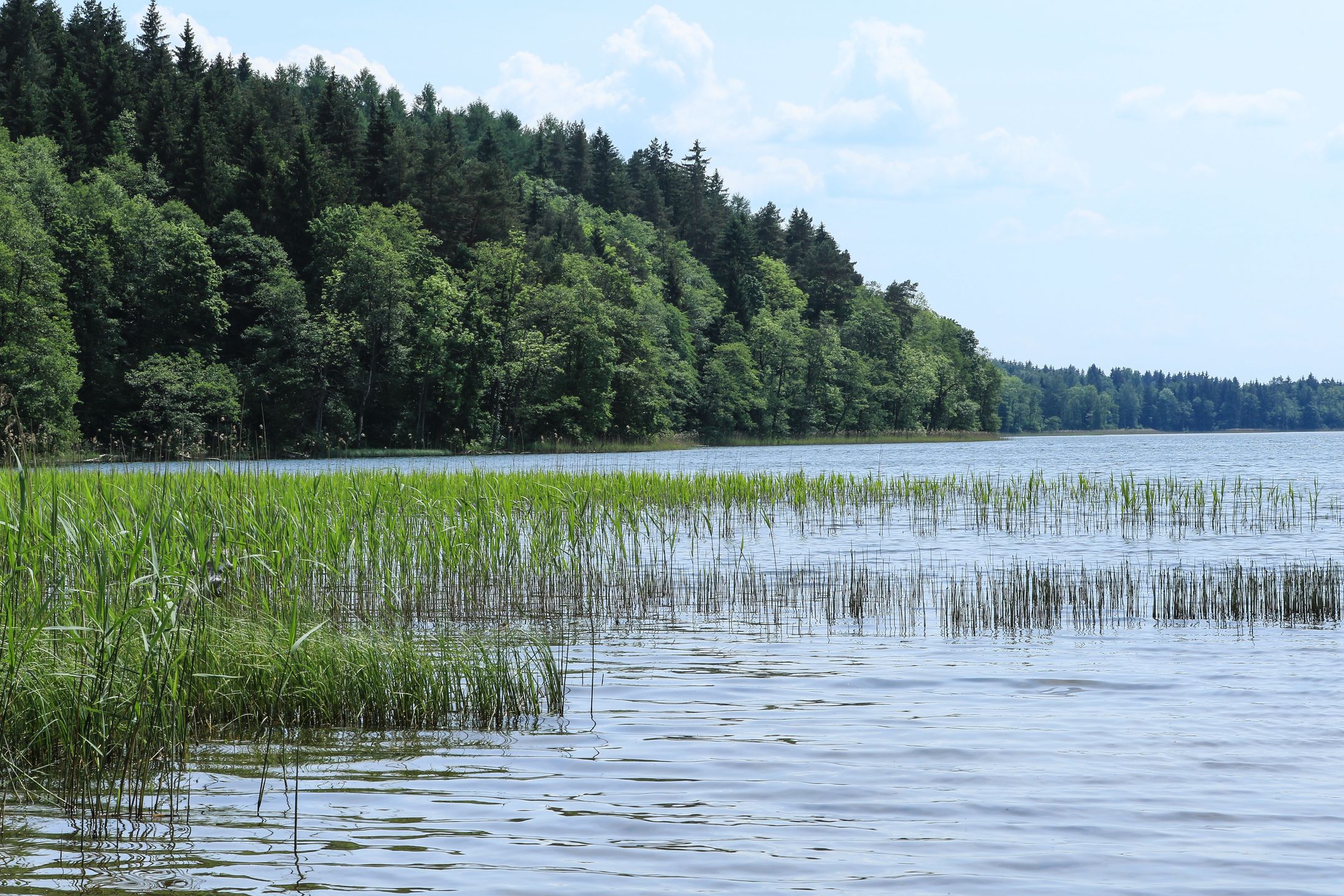 Jezioro Hańcza 