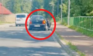 1,2 mln wyświetleń. "Normalnie brak słów". Dostał 100 zł mandatu
