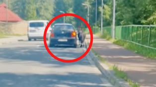 1,2 mln wyświetleń. "Normalnie brak słów". Dostał 100 zł mandatu