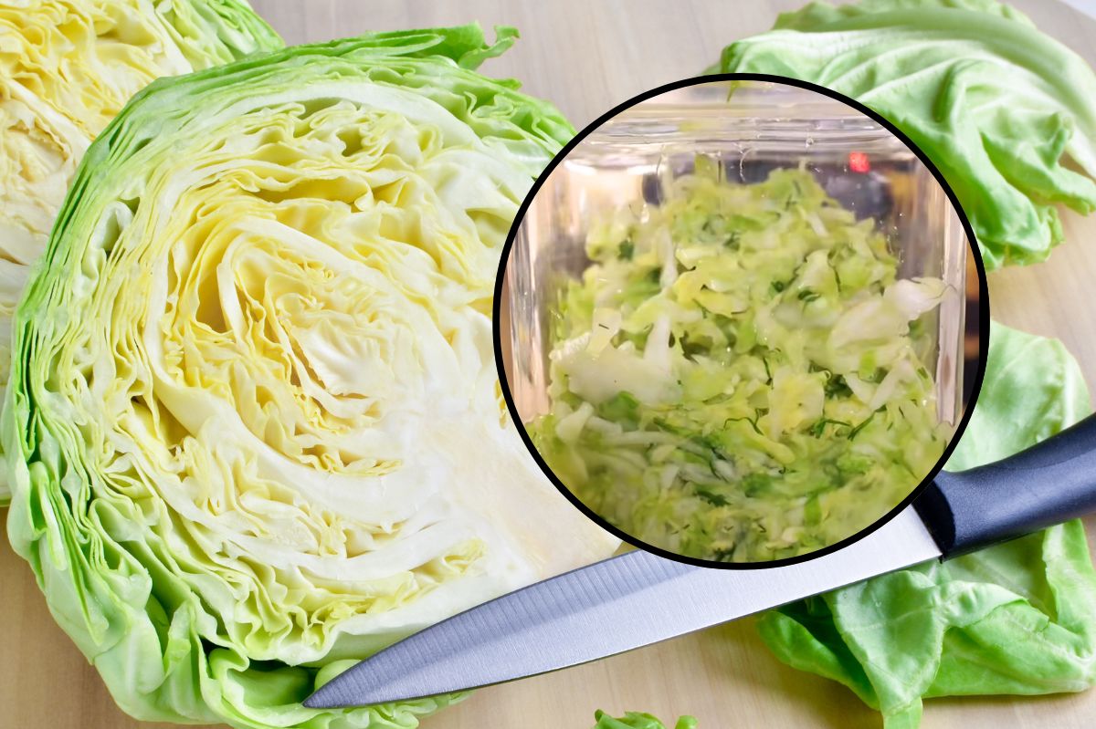Quick-fermented cabbage: A speedy, tangy side to elevate meals