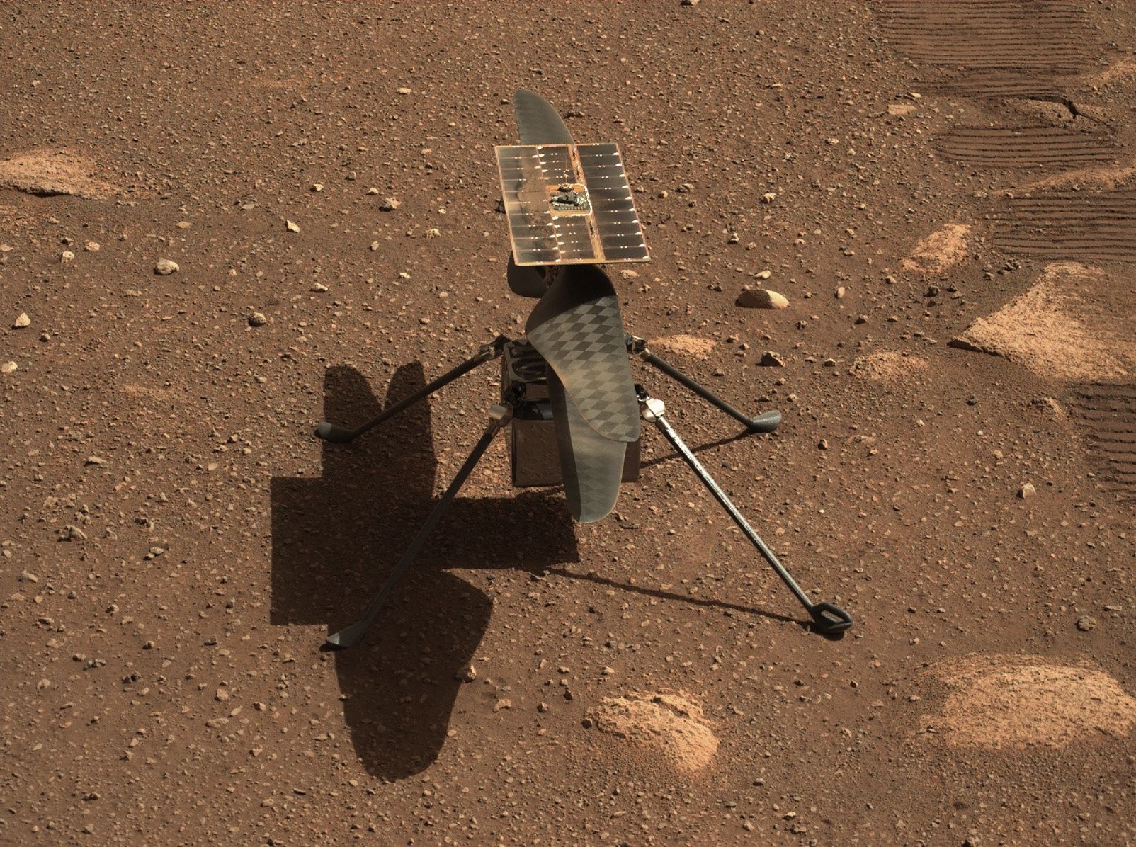 Ingenuity Mars