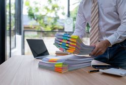 Prawie 400 tys. ogłoszeń. Oni mogą przebierać w ofertach pracy