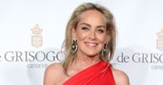 Zjawiskowa Sharon Stone. Aktorka pozuje w efektownej stylizacji
