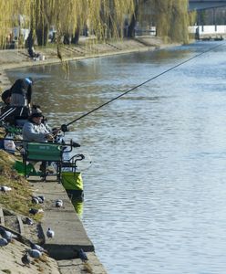 Wędkowanie to tanie hobby. Oto ile trzeba mieć pieniędzy na start