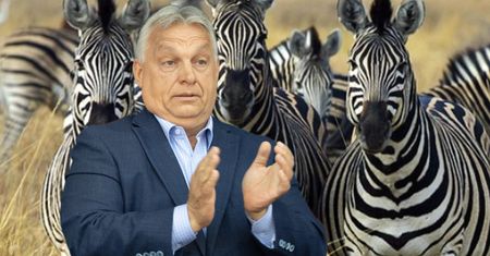 Biedny jak Orbán. W bajki opowiadane przez premiera wierzą już tylko najwierniejsi