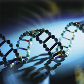 Udało się zakodować wiersz w... DNA! 3