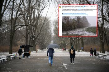 Znowu biało. Na Mazowszu spadł śnieg