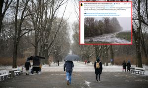 Znowu biało. Na Mazowszu spadł śnieg