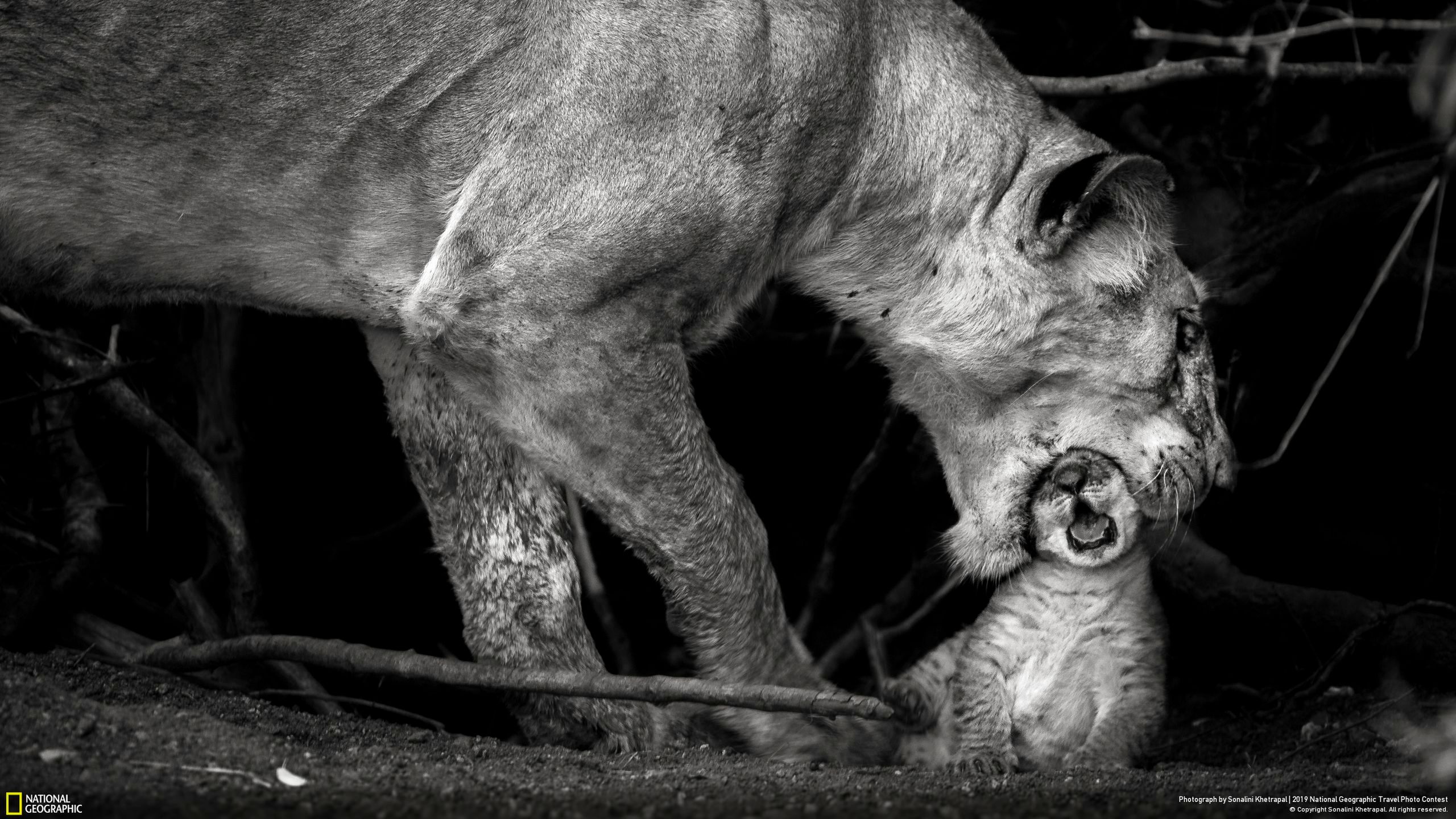 Niesamowite zdjęcia finalistów National Geographic Travel Contest 2019 9