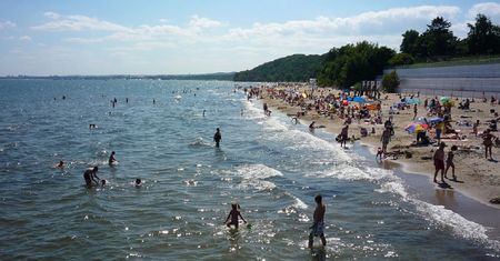 Akcja nad Bałtykiem. Saperzy unieszkodliwią minę. Seria zakazów nad polskim morzem