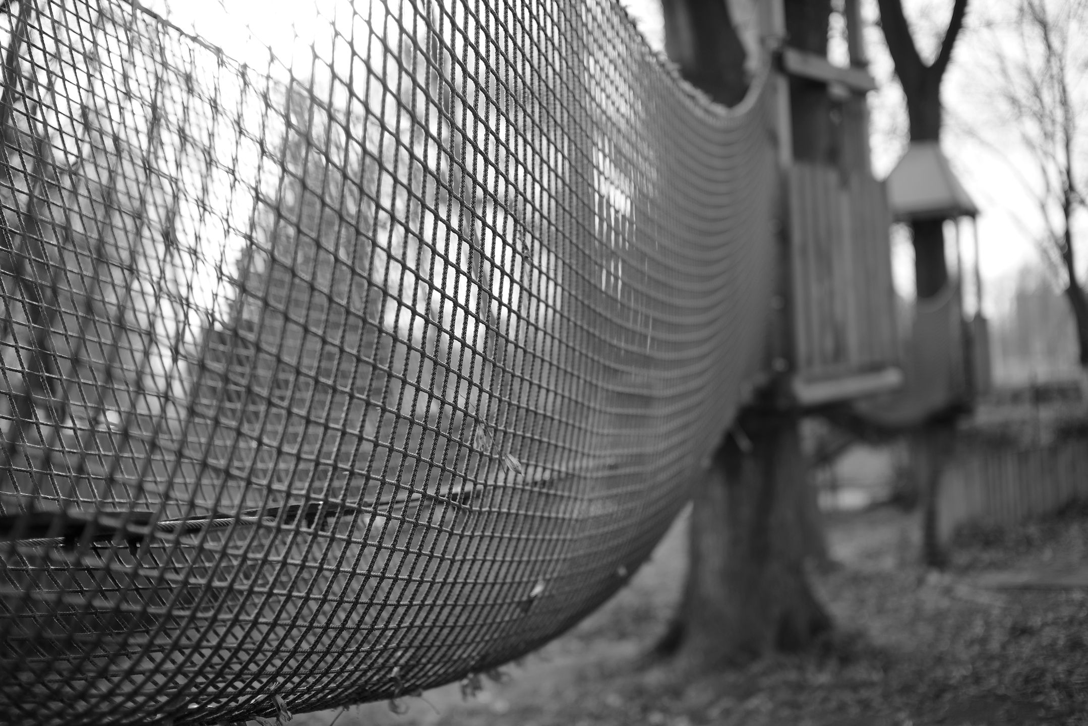 Niewielki może bardzo dużo! Voigtländer Nokton 50 mm f/1,5 18