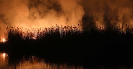 Biebrzański Park Narodowy może nie być jedyny. Mamy dużo do stracenia