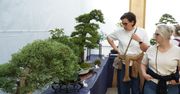 Łódź: Wystawa drzewek bonsai i warsztaty w Palmiarni
