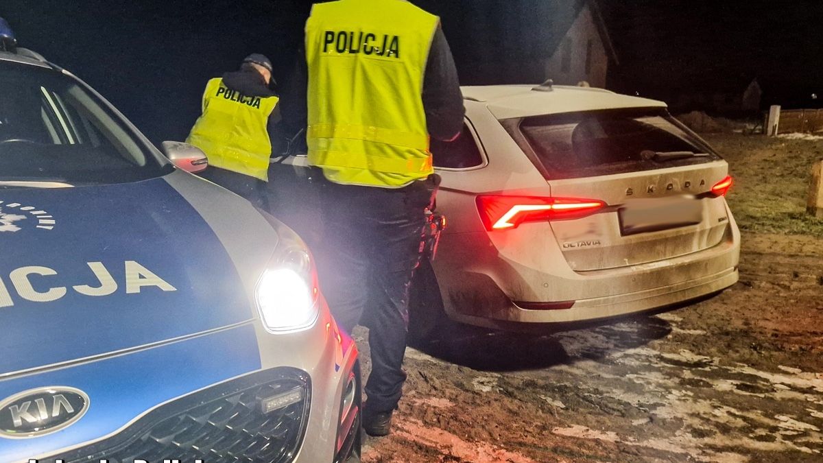 Kontrola trzeźwości