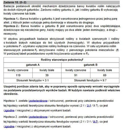 Zadanie 18