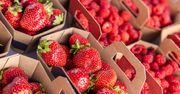 Nie daj się oszukać sprzedawcom. Tak rozpoznasz polskie truskawki
