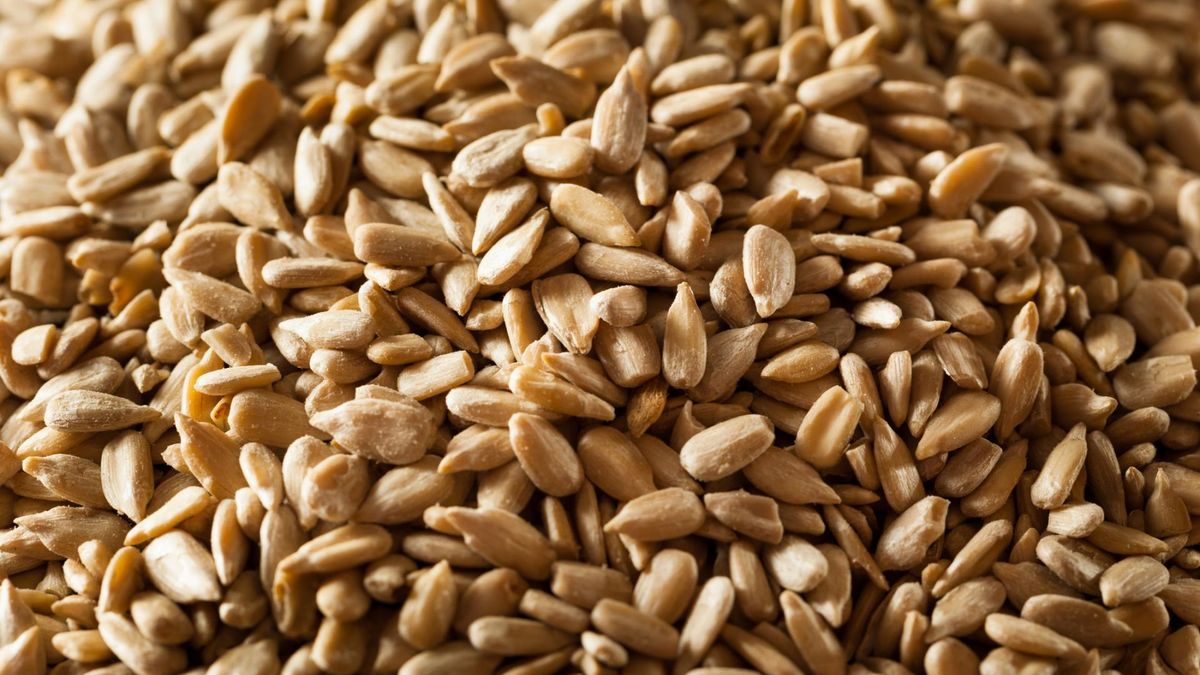 W jednym z badań wykazano obecność aflatoksyn w ziarnach słonecznika. To substancja, która jest silnymy mutagenem