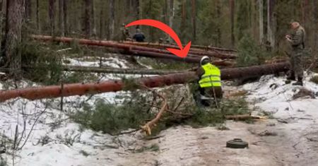 Leśnicy ich nagrali. Oto co żołnierze robili w lesie