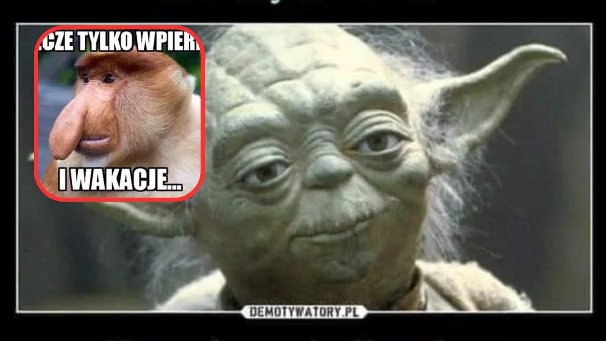 Memy na koniec roku szkolnego 