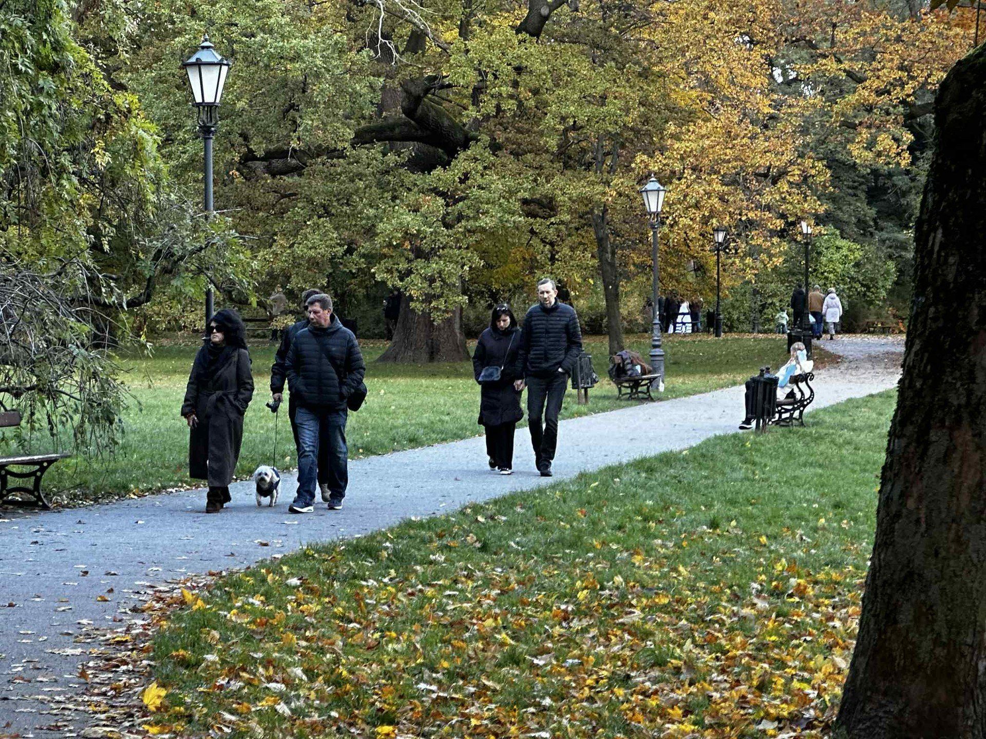 lodz niedziela, park źródliska