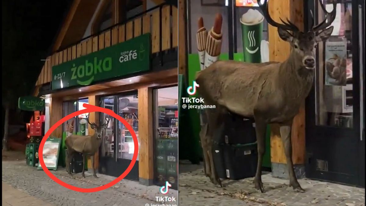 Myśleli, ze to reklama sklepu. Prawda okazała się całkiem inna