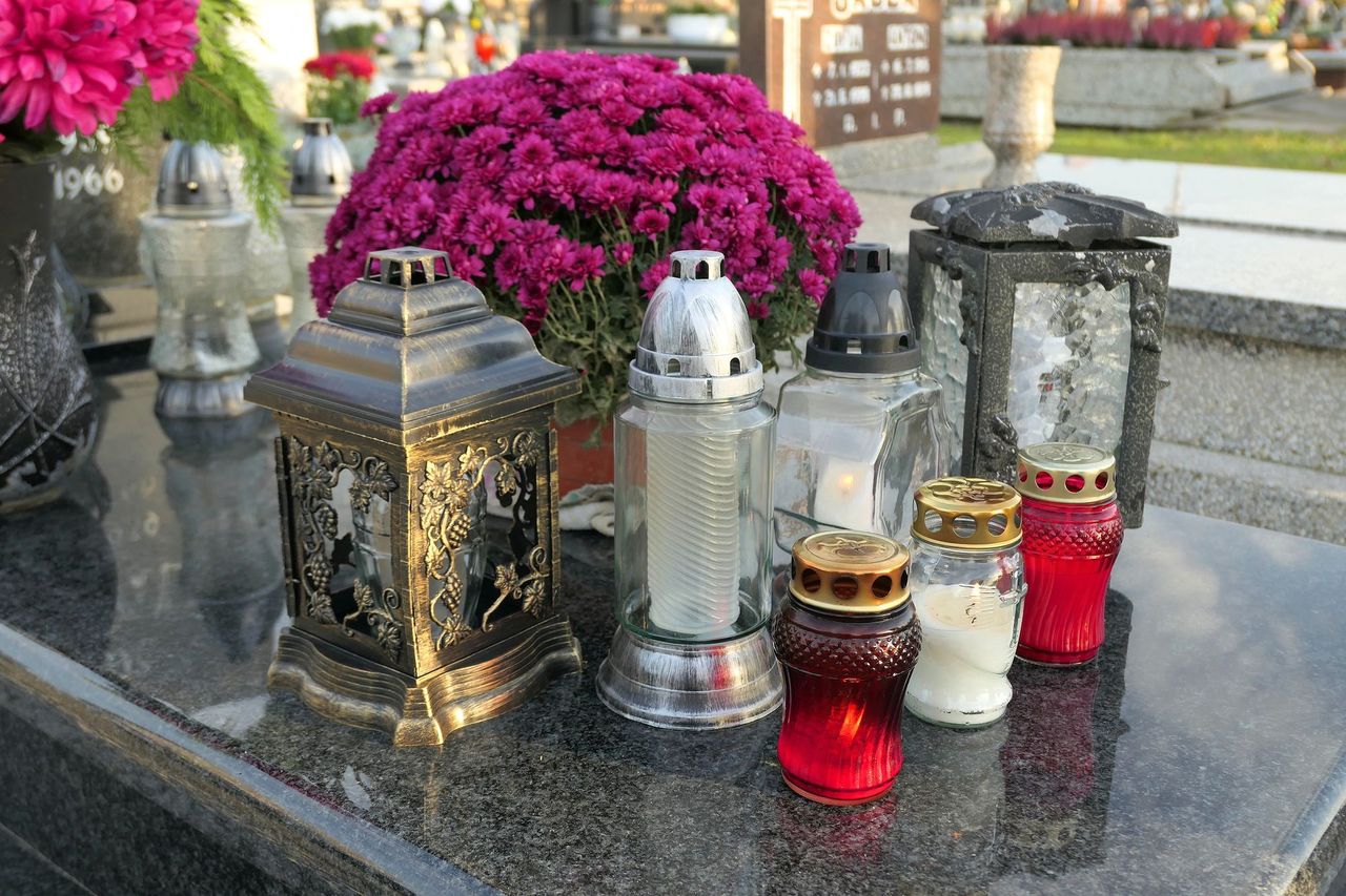 Najgorsze kwiaty na cmentarz. Stracisz tylko pieniądze