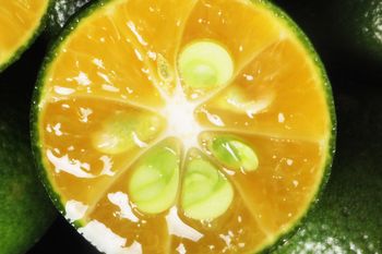 W Polsce mało popularny owoc. Gdy zobaczysz w sklepie, kupuj bez wahania