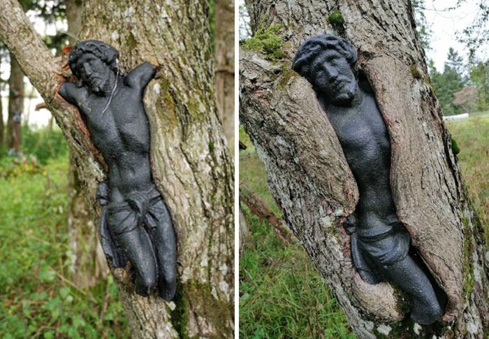 Rzeźba Jezusa, którą pochłania drzewo. Zdjęcie po prawej stronie zostało zrobione po 12 latach od pierwszego.